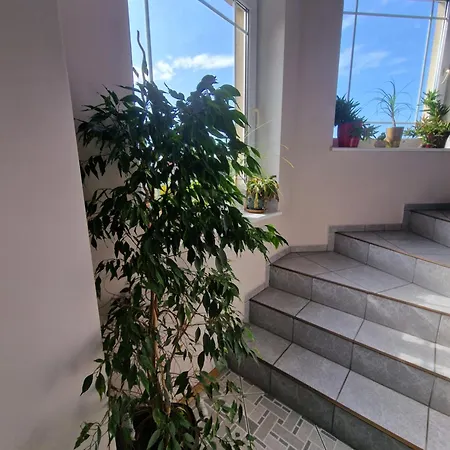 בית אירוח Victoria וובה