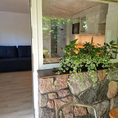 Victoria בית אירוח